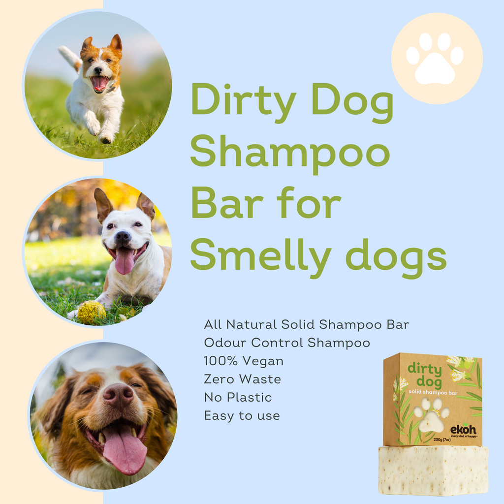 Best soap for smelly dog online