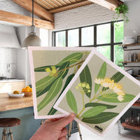 EKOH Swedish Dishcloth for the Kitchen Eco Dish Cloths - 2 Pack Aussie Botanical Cleaning Cloths, Reusable Dish Cloths, Super Absorbent