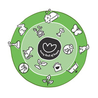 Eco Sponge Cloths Swedish Dishcloth 2 Pack Aussie Native Prints Compostable Dishcloths - Ekoh-Store