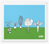 Eco Sponge Cloths Compostable Dishcloths - Swedish Dish Cloths - Veggie Mix Printed Dishwashing Cloths 3 Pack - Ekoh-Store