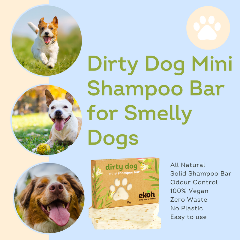 Best soap to use on dogs online