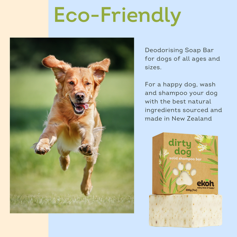 Dog soap top and shampoo