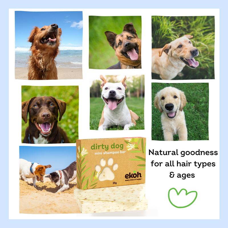 Mini Dog Shampoo Bars - 7 Pack Natural Soap for Puppies and Dirty Dogs
