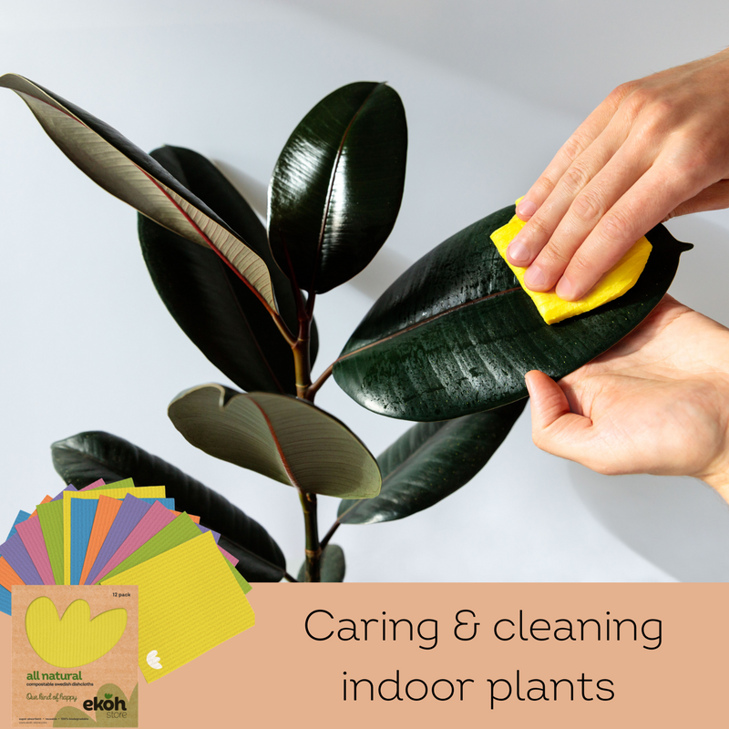 Swedish Dishcloths 12 pk Compostable Eco Sponge Dish Cloths Rainbow Colours