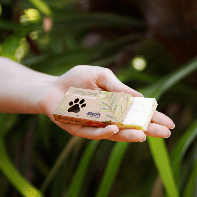 Natural dog top soap bar