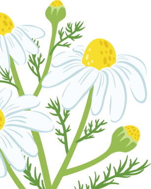 Eco-Friendly Sponge Cloths, Daisy Spring Blossoms 12-Pack, Swedish Dis